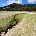 IMG_0219.jpg