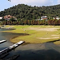 IMG_0266.jpg