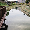 IMG_0578.jpg
