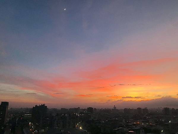 IMG_1503.JPG IMG_1503.JPG