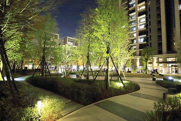 IMG_0501.JPG IMG_0501.JPG