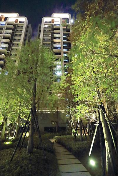 IMG_0503.JPG IMG_0503.JPG