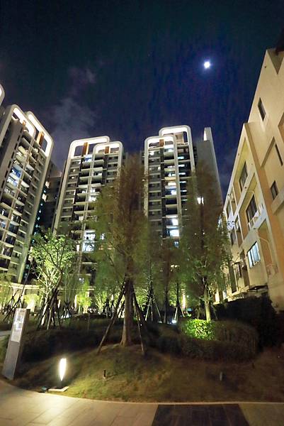 IMG_0508.JPG IMG_0508.JPG