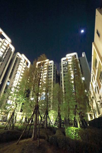 IMG_0524.JPG IMG_0524.JPG