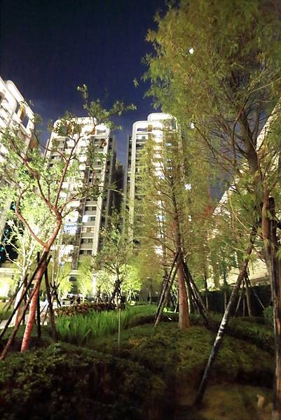 IMG_0551.JPG IMG_0551.JPG