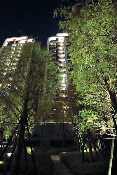 IMG_0553.JPG IMG_0553.JPG