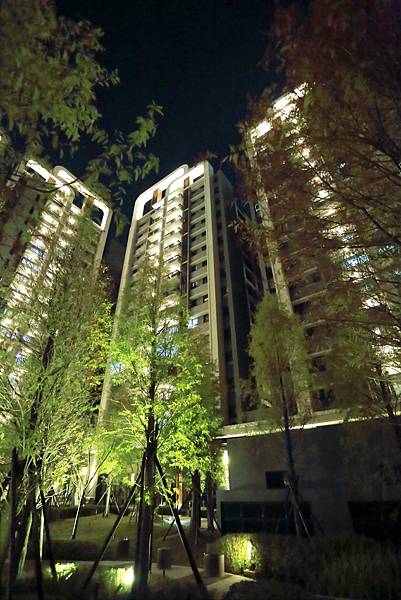 IMG_0554.JPG IMG_0554.JPG