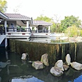 IMG_0650.JPG