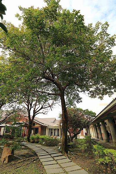 IMG_0685.JPG IMG_0685.JPG