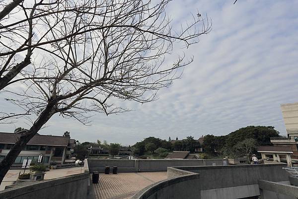 IMG_0697.JPG IMG_0697.JPG