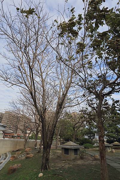 IMG_0701.JPG IMG_0701.JPG