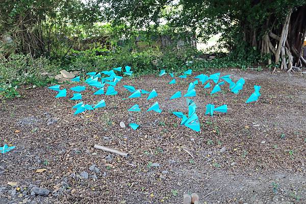 IMG_0727.JPG IMG_0727.JPG