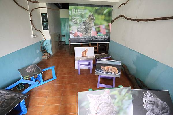 IMG_0737.JPG IMG_0737.JPG