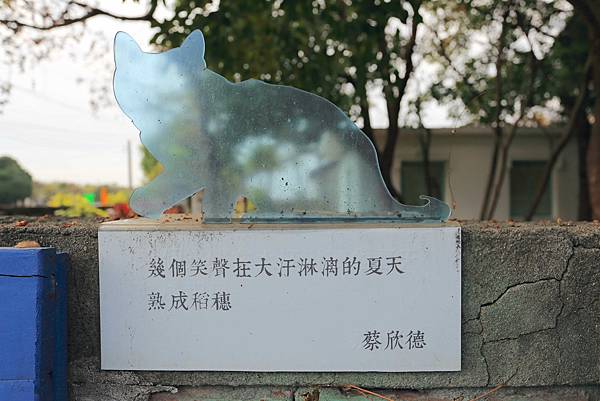 IMG_0762.JPG IMG_0762.JPG