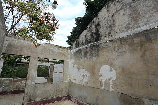 IMG_0769.JPG IMG_0769.JPG