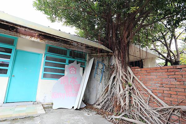 IMG_0799.JPG IMG_0799.JPG