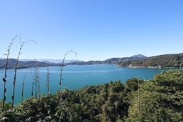 IMG_0028.JPG IMG_0028.JPG