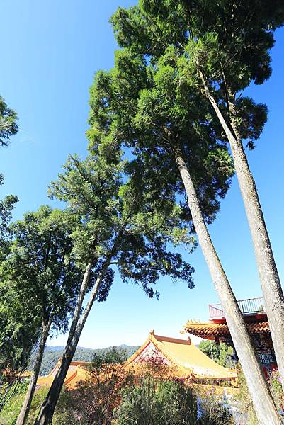 IMG_0057.JPG IMG_0057.JPG