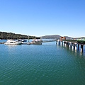 IMG_0088.JPG