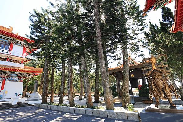 IMG_0131.JPG IMG_0131.JPG