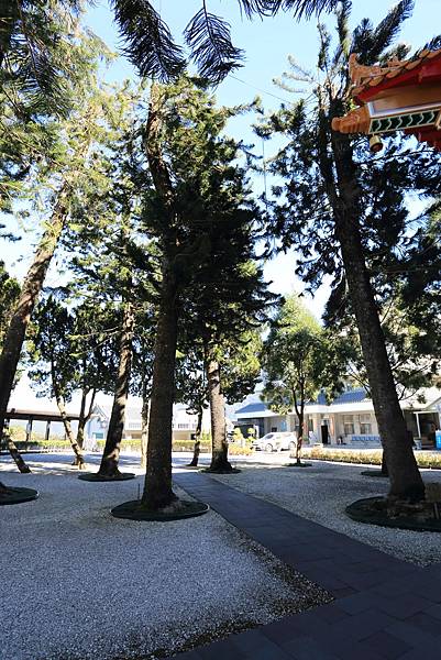 IMG_0132.JPG IMG_0132.JPG