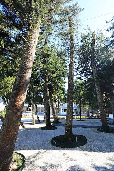 IMG_0136.JPG IMG_0136.JPG