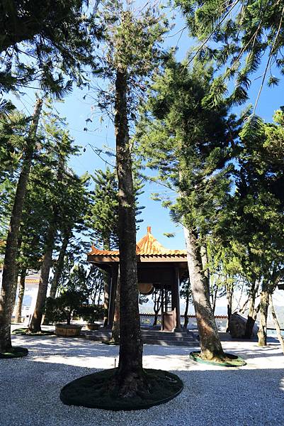 IMG_0133.JPG IMG_0133.JPG