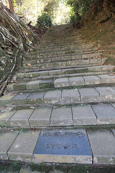 IMG_0152.JPG IMG_0152.JPG