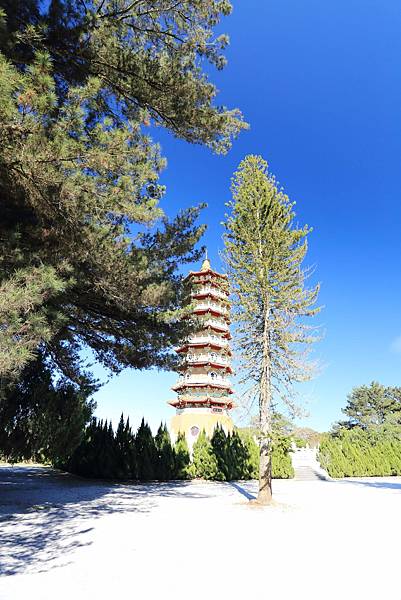 IMG_0153.JPG IMG_0153.JPG