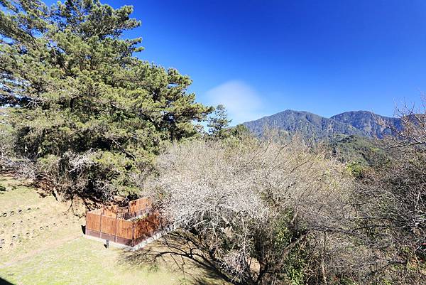 IMG_0162.JPG IMG_0162.JPG