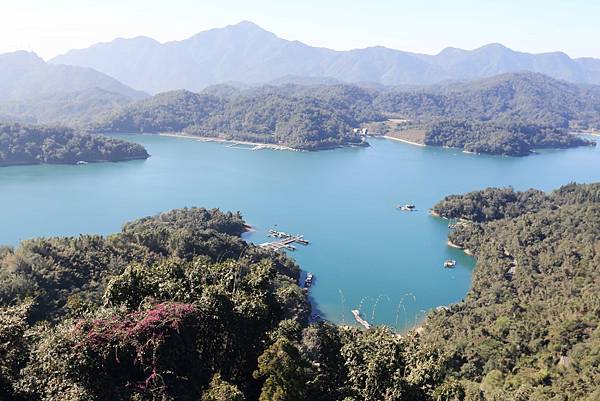 IMG_0184.JPG IMG_0184.JPG