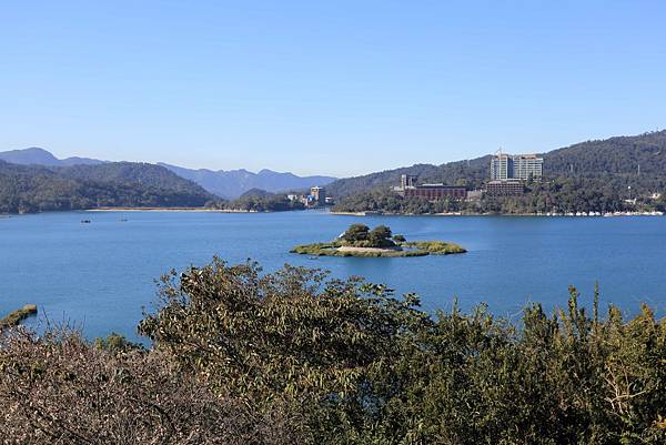 IMG_0195.JPG IMG_0195.JPG