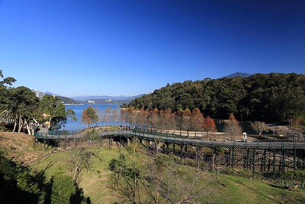 IMG_0202.JPG IMG_0202.JPG