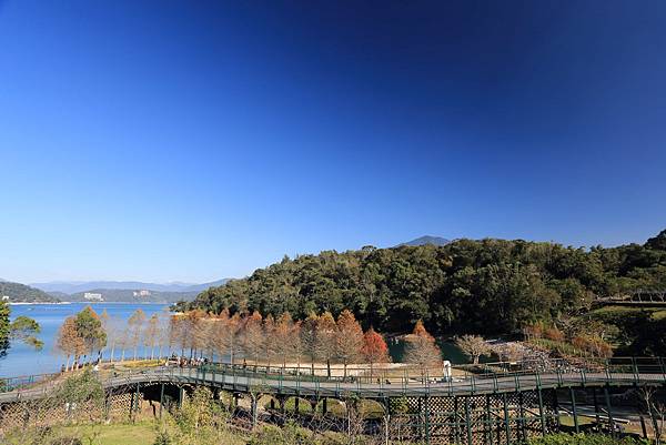 IMG_0203.JPG IMG_0203.JPG