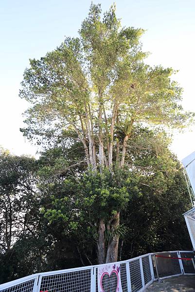 IMG_0216.JPG IMG_0216.JPG