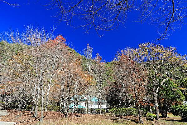 IMG_0320.jpg IMG_0320.jpg