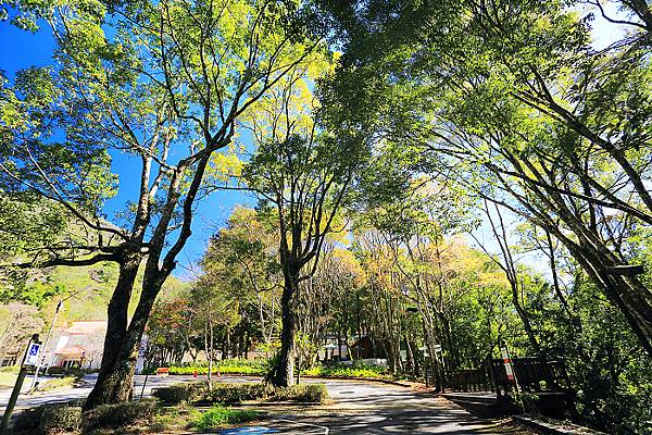 IMG_0317.jpg IMG_0317.jpg