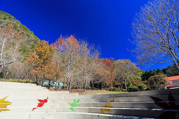 IMG_0319.jpg IMG_0319.jpg