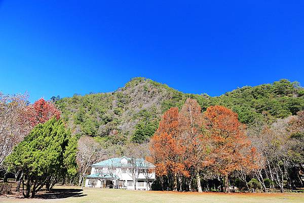 IMG_0322.jpg IMG_0322.jpg