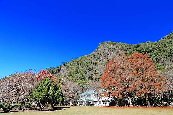 IMG_0323.jpg IMG_0323.jpg