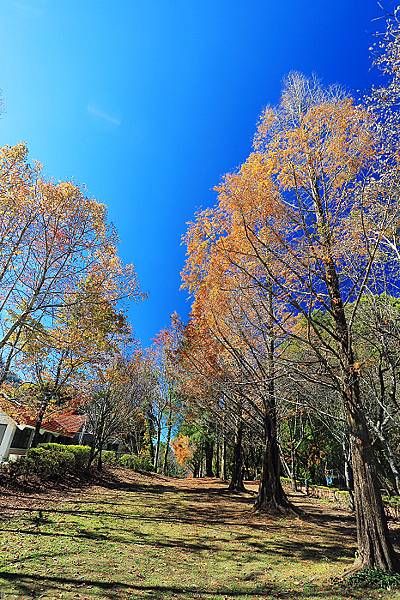 IMG_0329.jpg IMG_0329.jpg