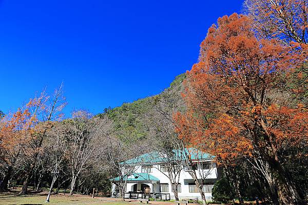 IMG_0327.jpg IMG_0327.jpg