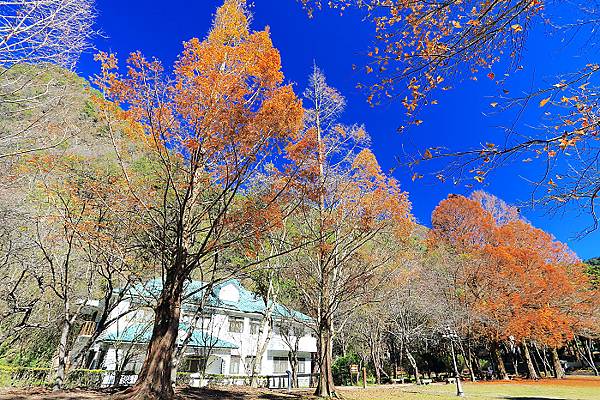 IMG_0331.jpg IMG_0331.jpg