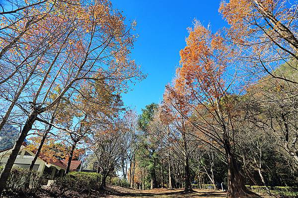 IMG_0330.jpg IMG_0330.jpg