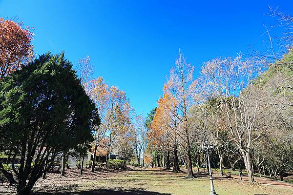 IMG_0328.jpg IMG_0328.jpg