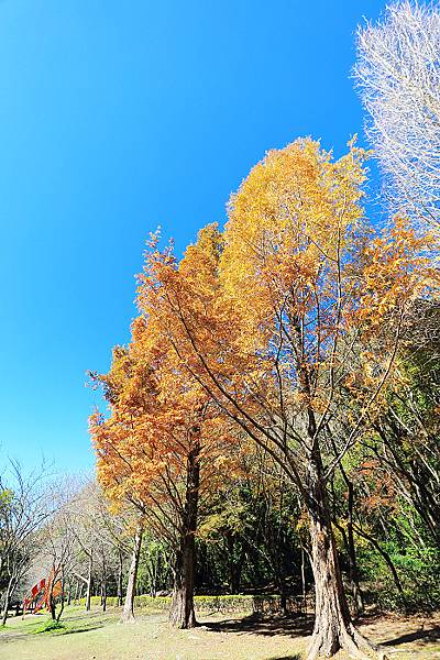 IMG_0335.jpg IMG_0335.jpg