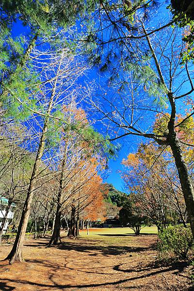 IMG_0333.jpg IMG_0333.jpg