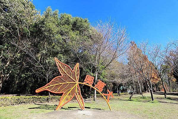 IMG_0337.jpg IMG_0337.jpg