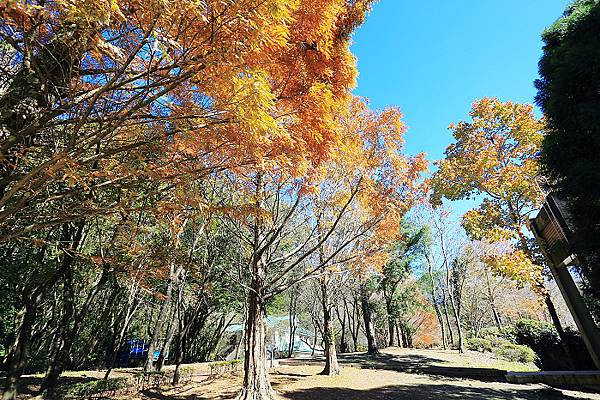 IMG_0339.jpg IMG_0339.jpg