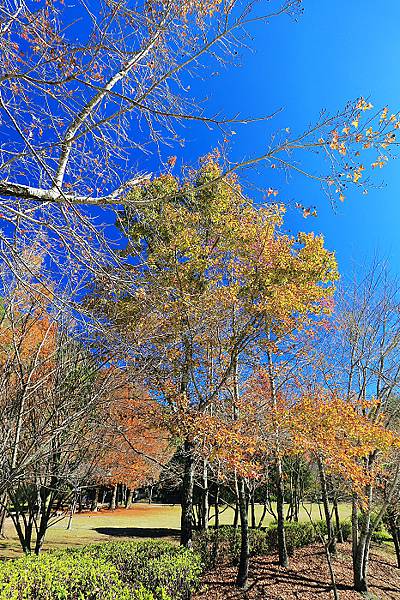 IMG_0334.jpg IMG_0334.jpg